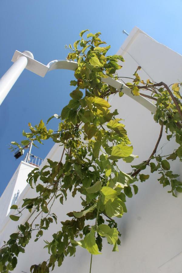 L'Angolo Di Ostuni - Home&Terracex4 外观 照片